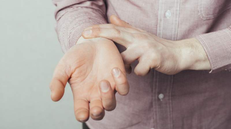 file404 / Shutterstock.com